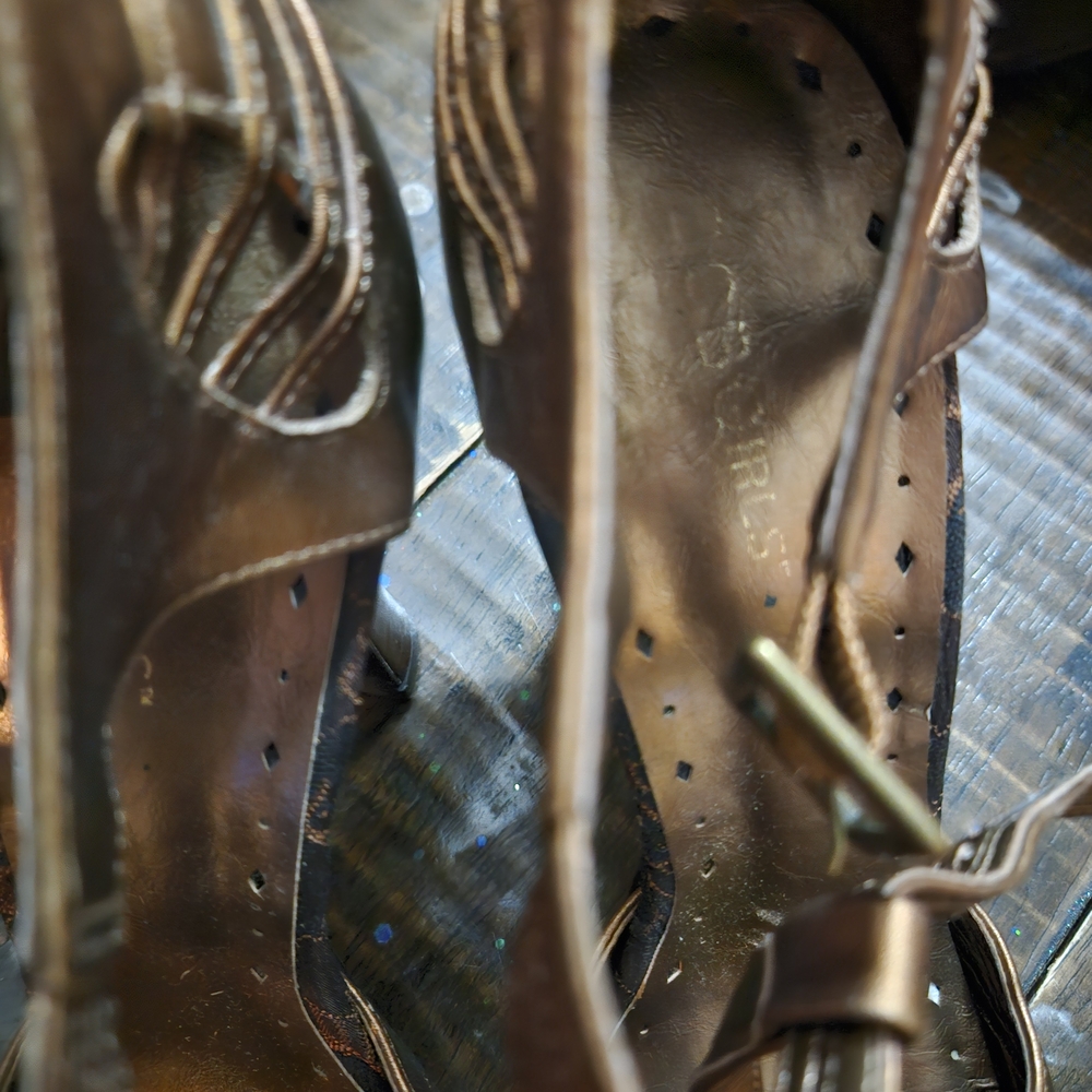 BCBGirls Bronze Platform Sandals